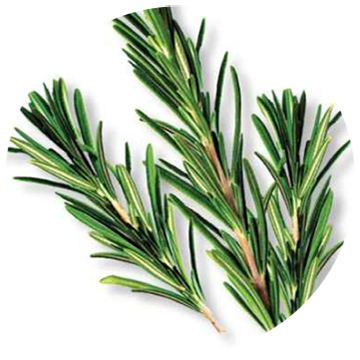 nut_pdp_308641_ingredient_rosemary_m.png