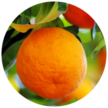 Nutrilite™ Twist Tubes 2GO™ – Joint Health - Raspberry | Vitamins ...