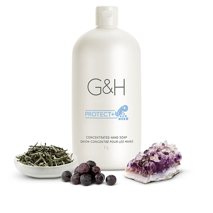 G&H Protect+™ Concentrated Hand Soap - 1 L (33.8 fl. oz.) ORDER LIMIT 10