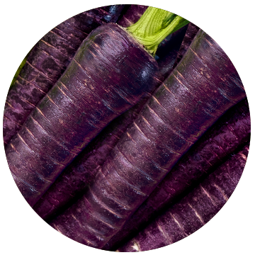 Nutrilite™ Men’s Pack | Vitamins & Supplements | Amway