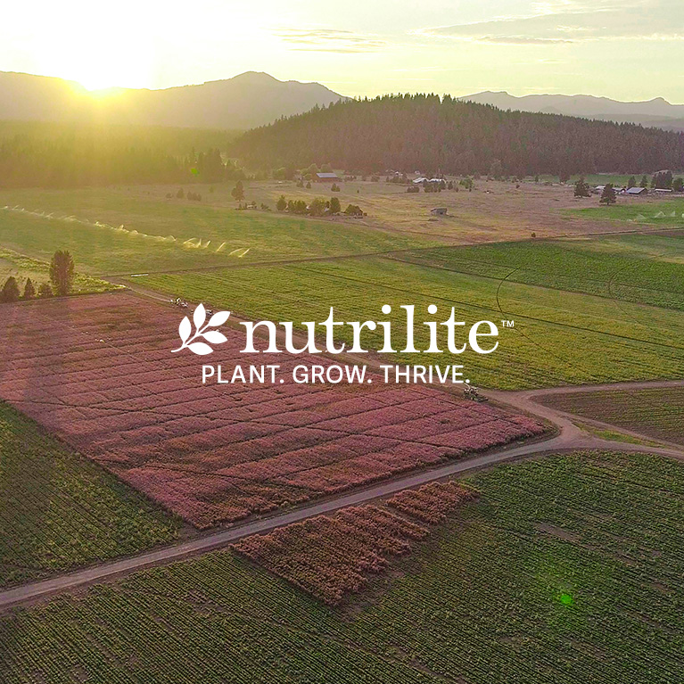 Nutrilite™ Memory Builder™ Supplement Vitamins & Supplements Amway