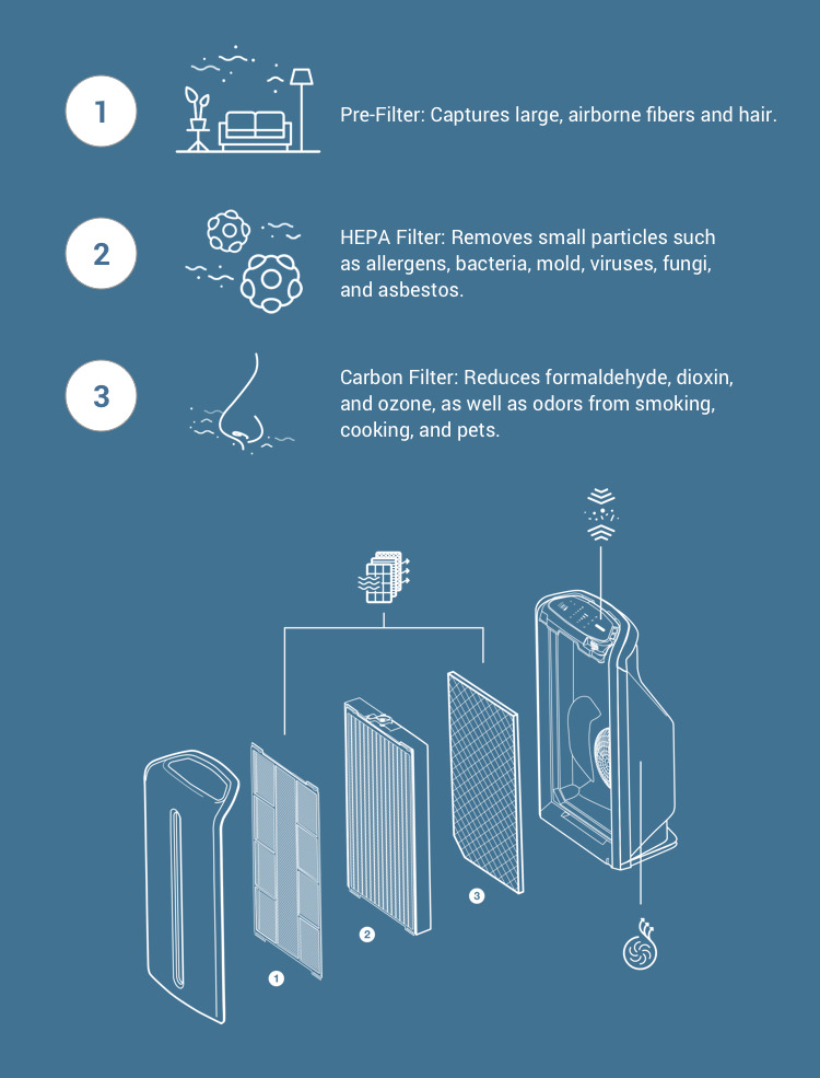 Amway air purifier filter placement and maintenance infographic